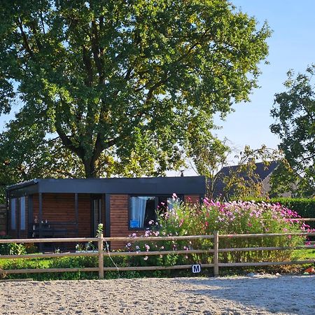 Houten Huisje Tussen Paarden Nieuwerkerken Екстер'єр фото