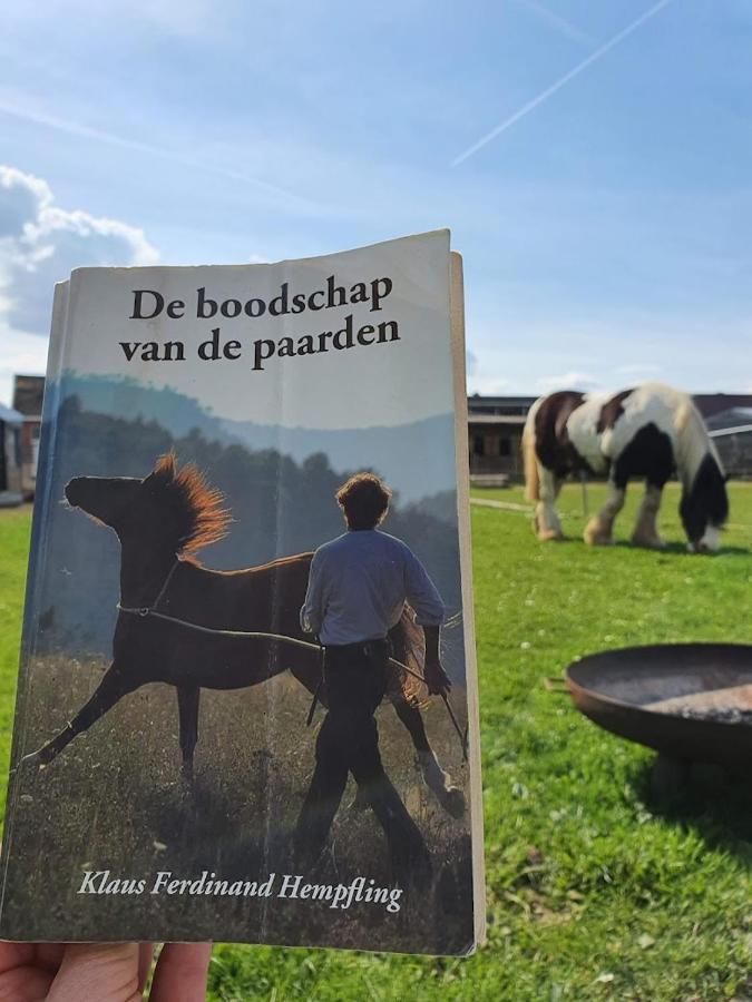 Houten Huisje Tussen Paarden Nieuwerkerken Екстер'єр фото