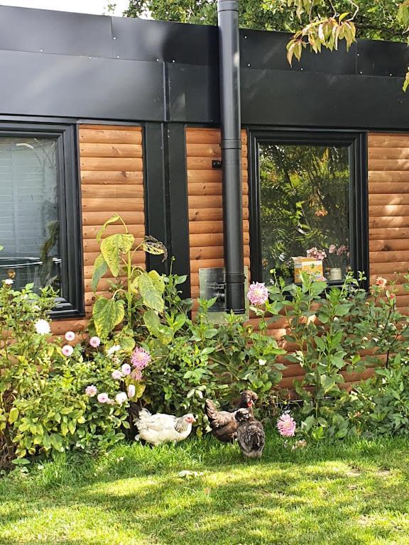 Houten Huisje Tussen Paarden Nieuwerkerken Екстер'єр фото