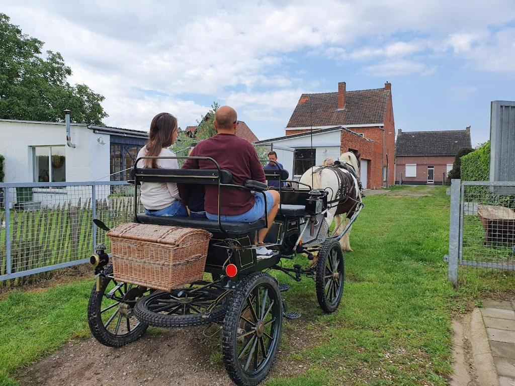 Houten Huisje Tussen Paarden Nieuwerkerken Екстер'єр фото