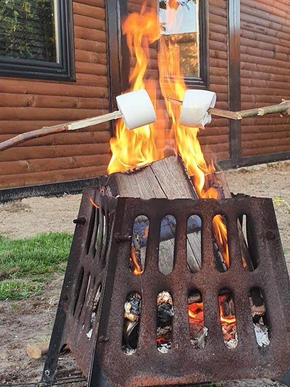 Houten Huisje Tussen Paarden Nieuwerkerken Екстер'єр фото
