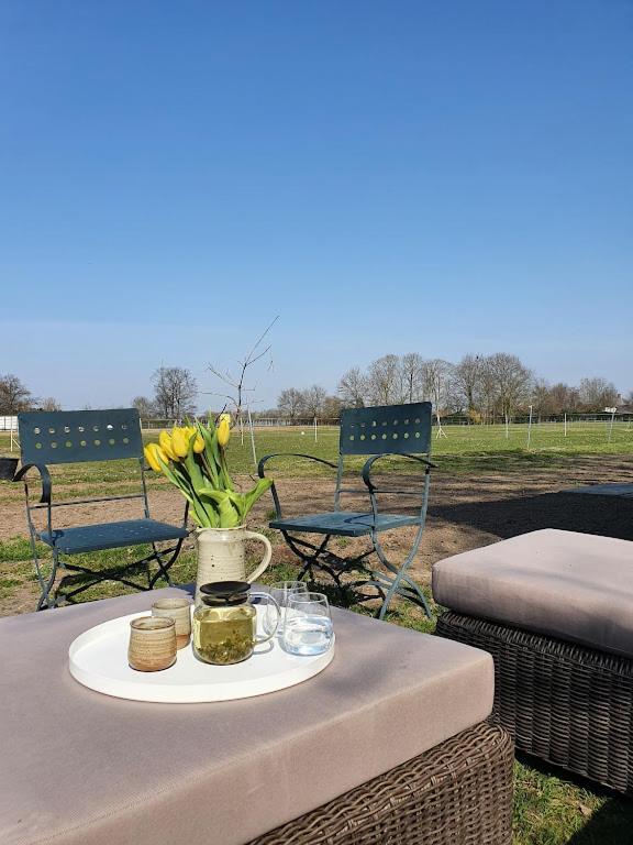 Houten Huisje Tussen Paarden Nieuwerkerken Екстер'єр фото