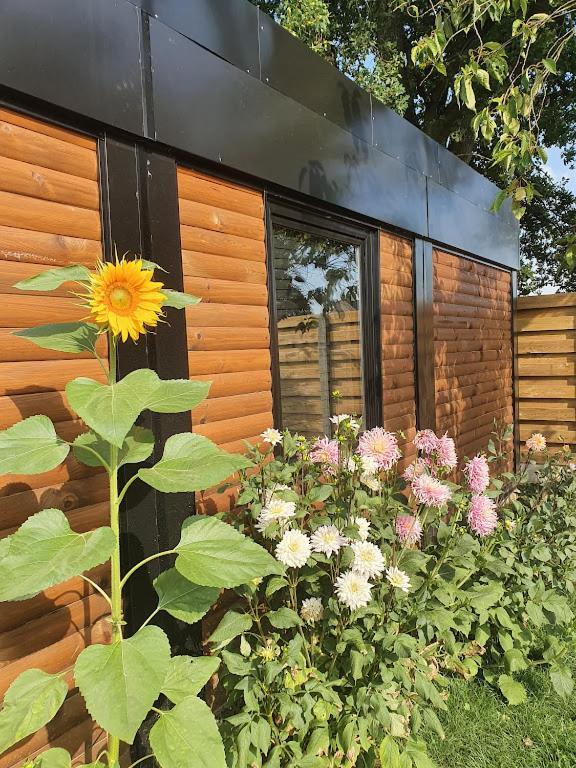 Houten Huisje Tussen Paarden Nieuwerkerken Екстер'єр фото