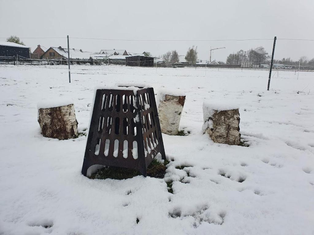 Houten Huisje Tussen Paarden Nieuwerkerken Екстер'єр фото