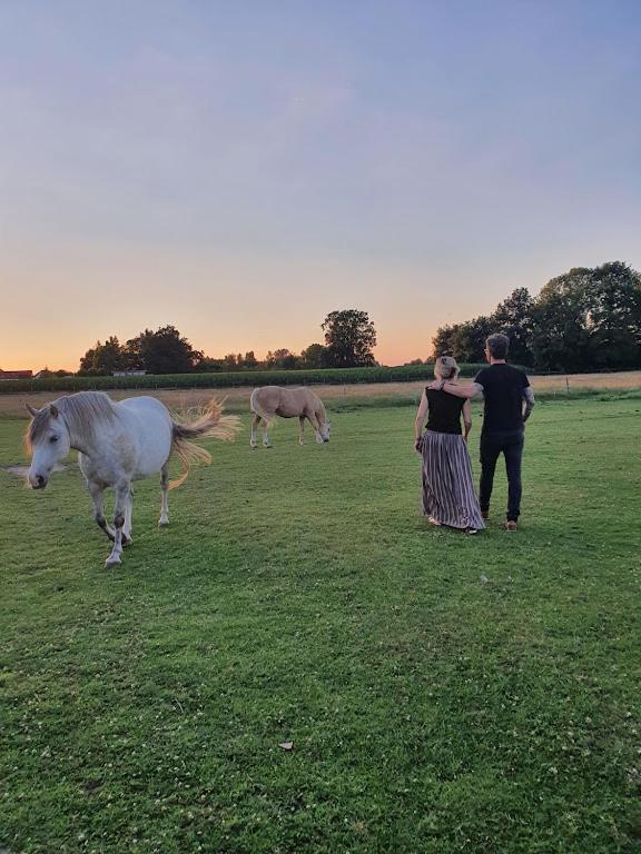 Houten Huisje Tussen Paarden Nieuwerkerken Екстер'єр фото