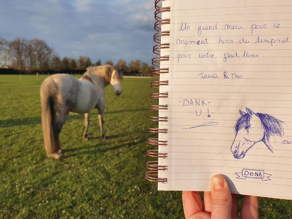 Houten Huisje Tussen Paarden Nieuwerkerken Екстер'єр фото