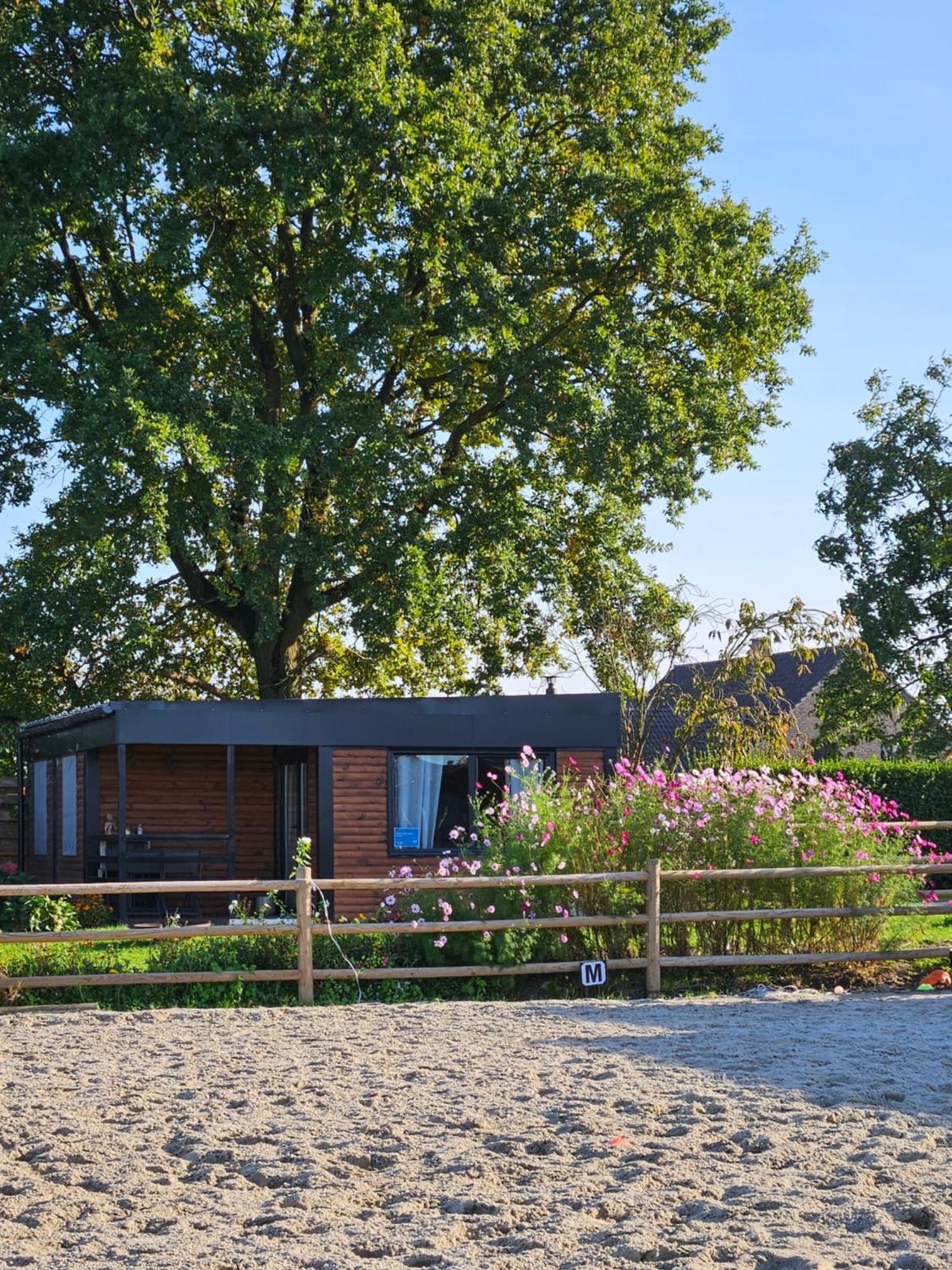 Houten Huisje Tussen Paarden Nieuwerkerken Екстер'єр фото