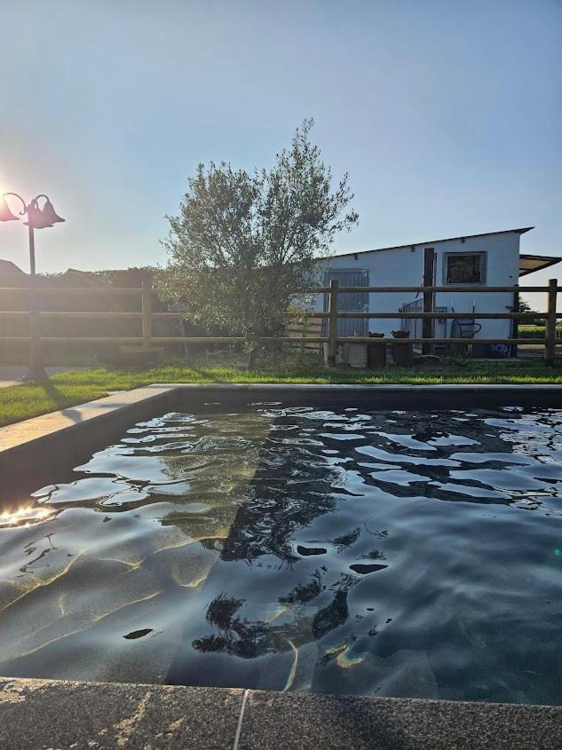 Houten Huisje Tussen Paarden Nieuwerkerken Екстер'єр фото