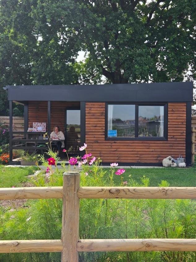 Houten Huisje Tussen Paarden Nieuwerkerken Екстер'єр фото